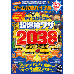 100％ムックシリーズ　ゲーム完璧バイブル Vol.2
