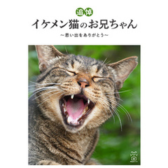 【追悼】イケメン猫のお兄ちゃん～思い出をありがとう～