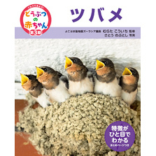 くらべてみよう！どうぶつの赤ちゃん　２５　ツバメ