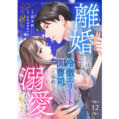 離婚したはずなのに、冷徹エリート御曹司に容赦なく溺愛されています１２