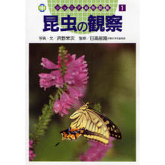 昆虫の観察