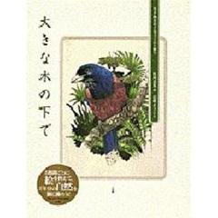 大きな木の下で　生き物をめぐるフィールド便り