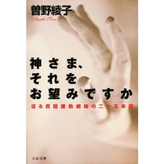 神さま、それをお望みですか　或る民間援助組織の二十五年間