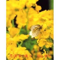 花・野菜詩集　詩集　３