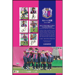 ＢＢＭカード　’１０　セレッソ大　ＢＯＸ