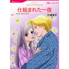 仕組まれた一夜