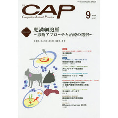 ＣＡＰ　３２７