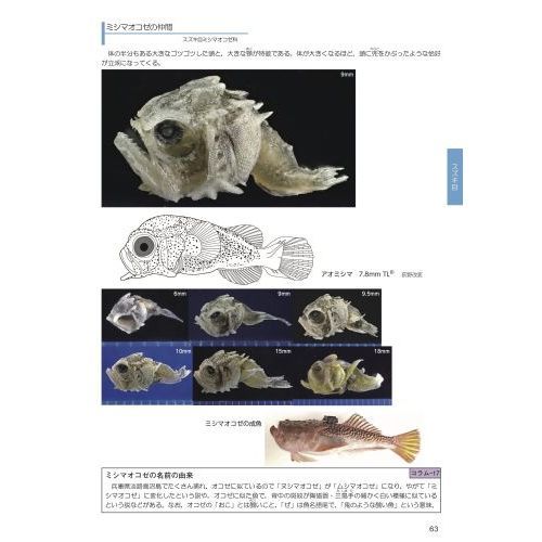 海のミクロ生物図鑑 チリメンモンスターの中に広がる世界 魚類 貝 タコ イカ エビ カニ その他の甲殻類 通販 セブンネットショッピング