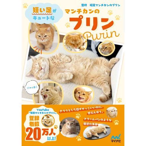 マンチカン 販売 本