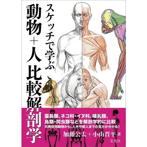 スケッチで学ぶ動物＋人比較解剖学 通販｜セブンネットショッピング