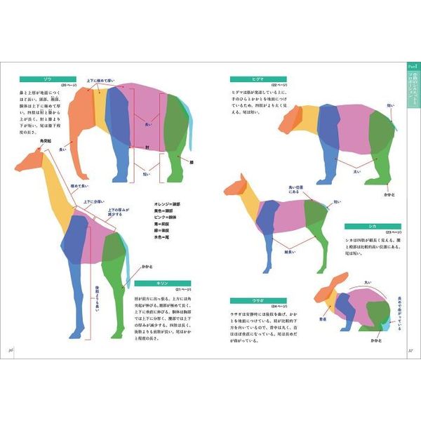 スケッチで学ぶ動物+人比較解剖学 通販|セブンネットショッピング スケッチで学ぶ動物+人比較解剖学 通販|セブンネットショッピング