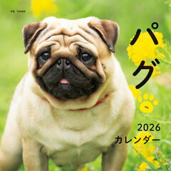 ２０２６カレンダーパグ