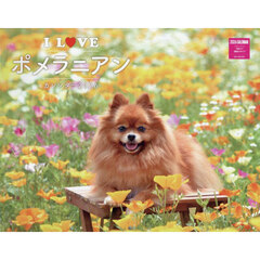 Ｉ　ＬＯＶＥポメラニアンカレンダー’２６