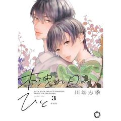 木洩れ日のひと　新装版　３