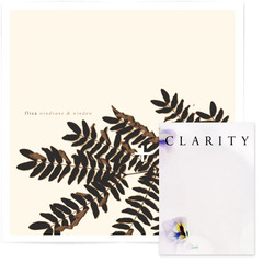 ウインドヴァイン＆ウインドウ ＆ CLARITY 01 (CD+BOOK)セブンネット限定セット