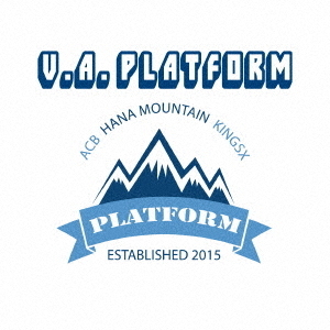 ֥ͥåȥåԥ󥰤㤨VAPLATFORMפβǤʤ509ߤˤʤޤ