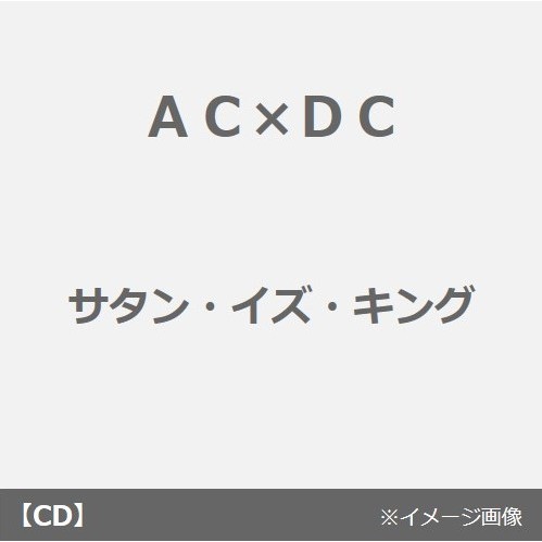 ֥ͥåȥåԥ󥰤㤨SATANISKINGפβǤʤ2,530ߤˤʤޤ