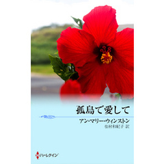 孤島で愛して　ある運命の物語 ＸＶＩＩ