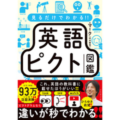 見るだけでわかる！！ 英語ピクト図鑑