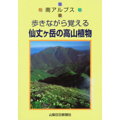 仙丈ケ岳の高山植物　南アルプス歩きながら