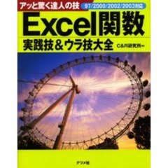 Ｅｘｃｅｌ関数実践技＆ウラ技大全　アッと驚く達人の技