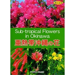 亜熱帯沖縄の花　花ごよみ