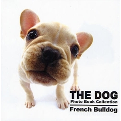 ＴＨＥ　ＤＯＧ　Ｐｈｏｔｏ　Ｂｏｏｋ　Ｃｏｌｌｅｃｔｉｏｎ　Ｆｒｅｎｃｈ　Ｂｕｌｌｄｏｇ