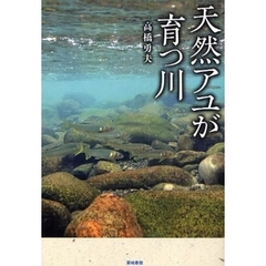 天然アユが育つ川