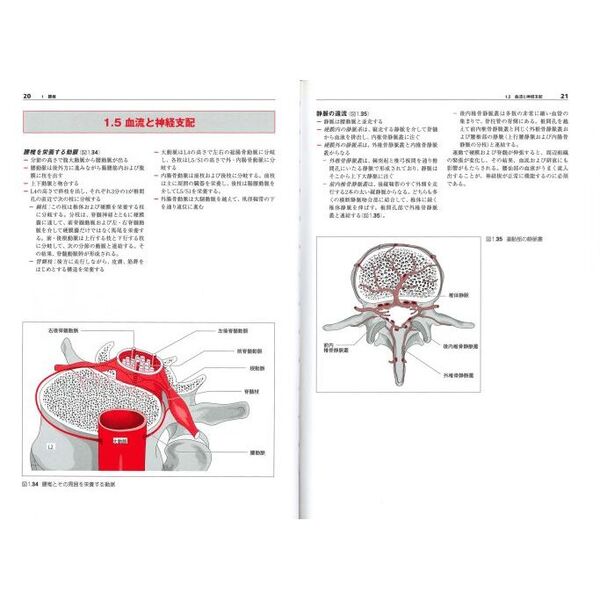 下肢から診る身体の機能構造 - 健康/医学