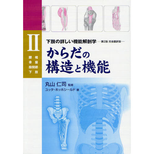 からだの構造と機能　２　下肢の詳しい機能解剖学　腰椎　骨盤　股関節　下肢