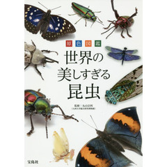 原色図鑑 世界の美しすぎる昆虫