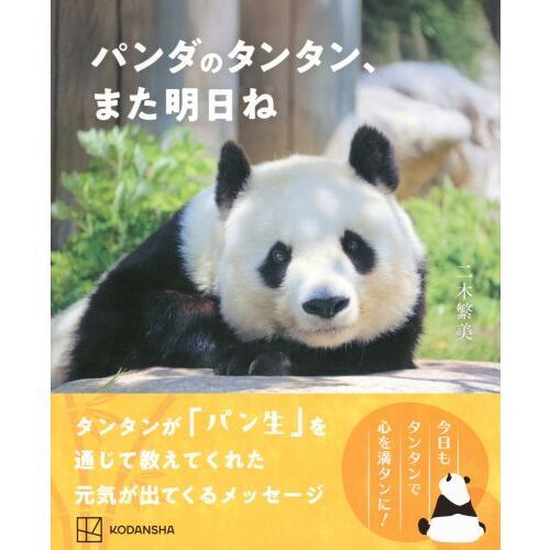 パンダのタンタン、また明日ね 通販｜セブンネットショッピング
