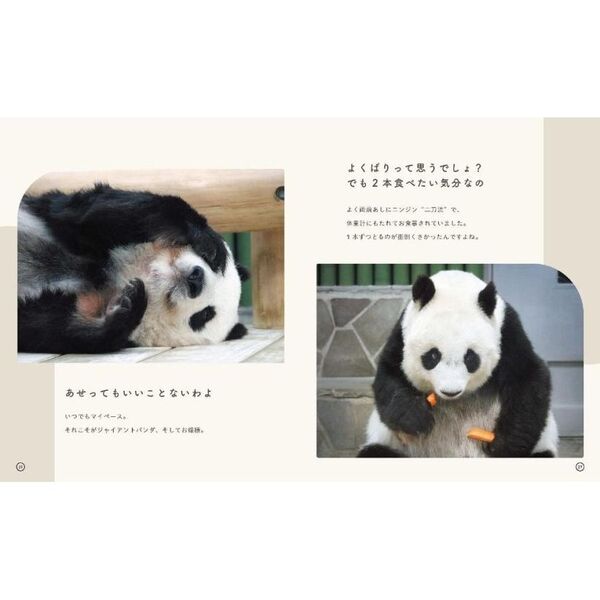 パンダのタンタン、また明日ね 通販｜セブンネットショッピング