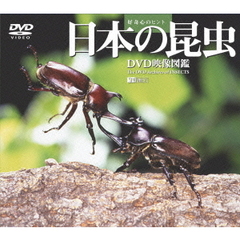 日本の昆虫 映像図鑑（ＤＶＤ）