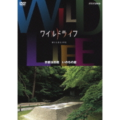 ワイルドライフ 京都法然院 いのちの庭（ＤＶＤ）