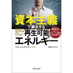 資本主義で解決する再生可能エネルギー　排出ゼロをめぐるグローバル競争の現在進行形