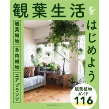 観葉植物／多肉植物／エアプランツ 観葉生活をはじめよう