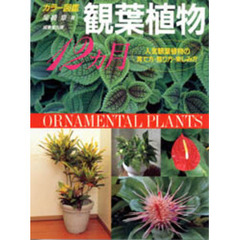 観葉植物１２ヵ月　人気観葉植物の育て方・飾り方・楽しみ方　カラー図鑑