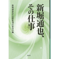 新堀通也、その仕事