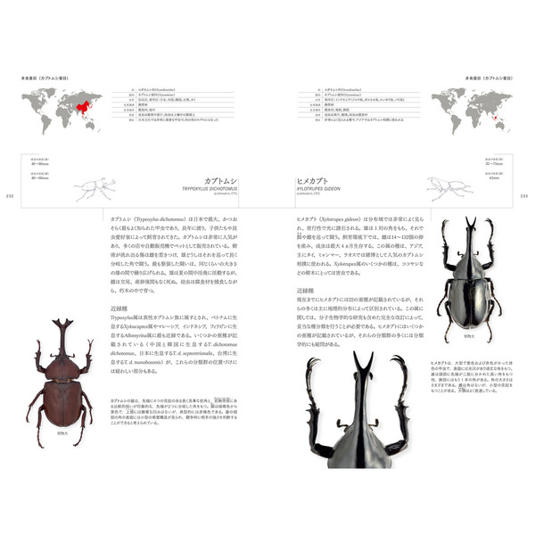 世界甲虫大図鑑