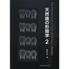 天然歯の形態学　２