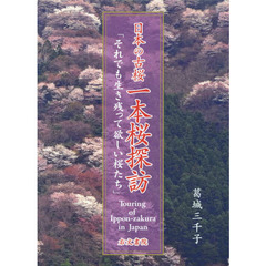 日本の古桜一本桜探訪　それでも生き残って欲しい桜たち