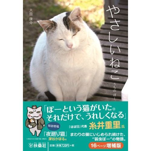 やさしいねこ　うちのぽー（文庫本）