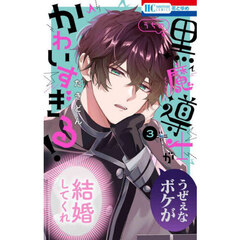 うちの黒魔導士がかわいすぎる！　３