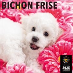 ビション・フリーゼ 2025年カレンダー
