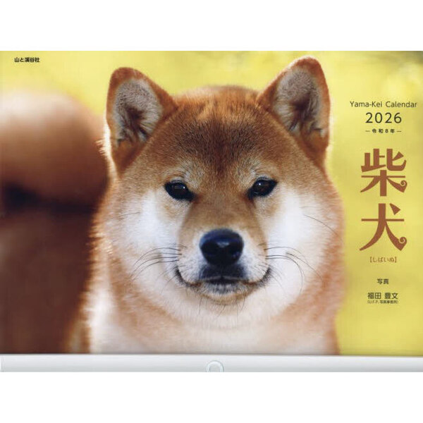 柴犬 カレンダー '26 柴犬 通販｜セブンネットショッピング