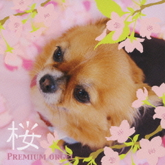 桜ソング～旅立ちの日に～