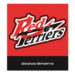 【トヨタ2021】チームロゴハンドタオル