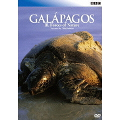 BBC ガラパゴス III 大自然の偉大な力（ＤＶＤ）