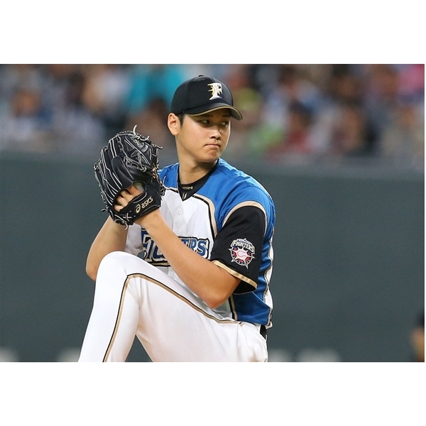 新品】大谷翔平/二刀流 ファイターズ・5年間の軌跡〈3枚組〉ポスト 